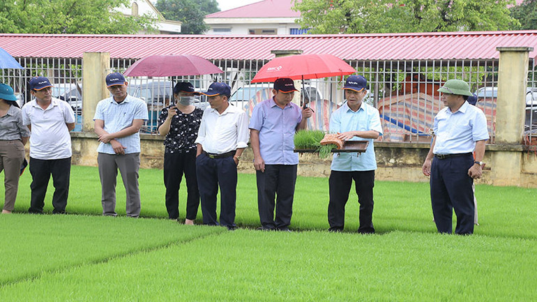 Các đại biểu đã đi tham quan mô hình mạ khay cấy máy tại huyện Thanh Liêm.
