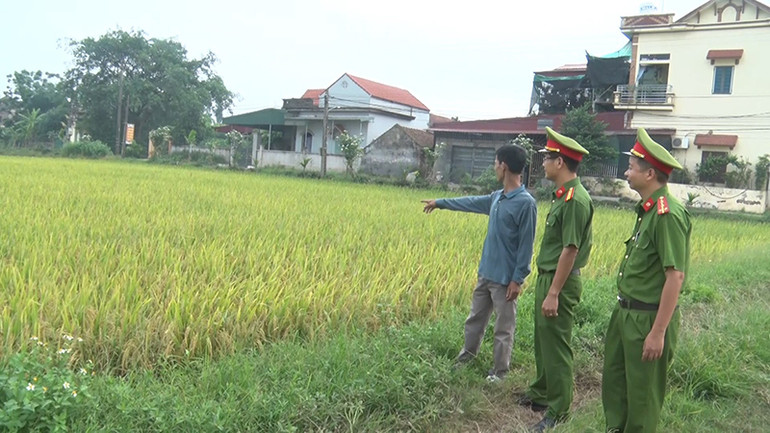 Anh Vũ Nguyên Văn, xã Đạo Lý, huyện Lý Nhân trước thửa lúa của gia đình chuẩn bị cho thu hoạch.