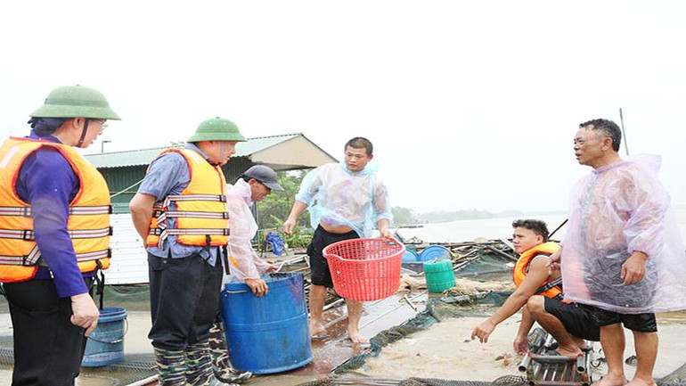 Phó Thủ tướng Thường trực Chính phủ Nguyễn Hòa Bình thị sát tình hình mưa lũ, thiệt hại về nông nghiệp, nuôi trồng thủy sản và công tác phòng, chống lũ tại các xã ven sông Hồng trên địa bàn thị xã Duy Tiên.