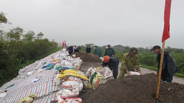 Ngay khi phát hiện sự cố sạt trượt, huyện Lý Nhân đã chỉ đạo các lực lượng đã tập trung gia cố khắc phục kịp thời ngay trong những giờ đầu.