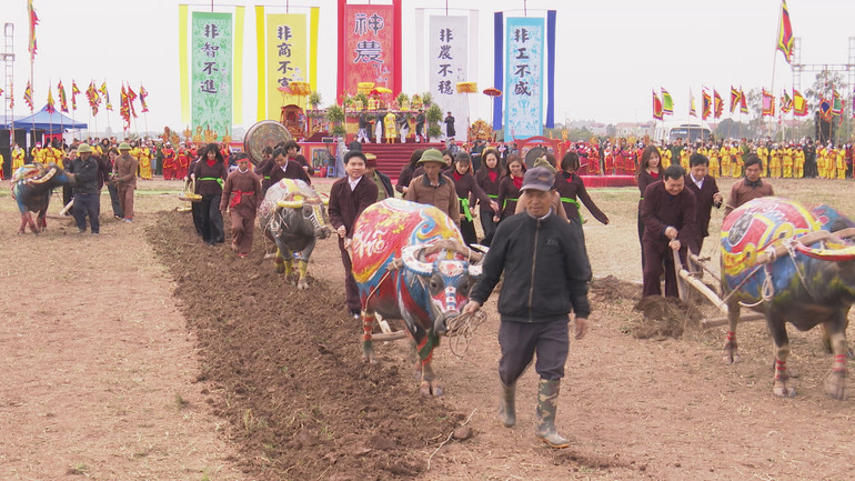 Đồng chí Trương Quốc Huy, Phó Bí thư Tỉnh ủy, Chủ tịch UBND tỉnh, Trưởng đoàn Đại biểu Quốc hội tỉnh tham gia cày Tịch điền tại Lễ hội.