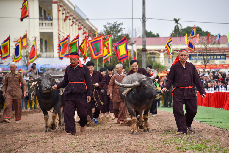 Các đồng chí lãnh đạo tỉnh Hà Nam thực hiện nghi lễ Tịch điền.