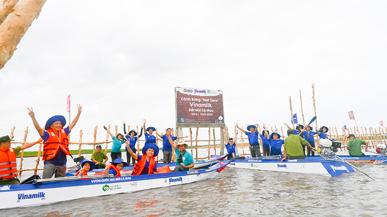 Hình 2a: Khu vực khoanh nuôi tái sinh rừng ngập mặn có diện tích 25ha do Vinamilk, Gaia chung tay thực hiện tại vùng lõi Vườn quốc gia Mũi Cà Mau
