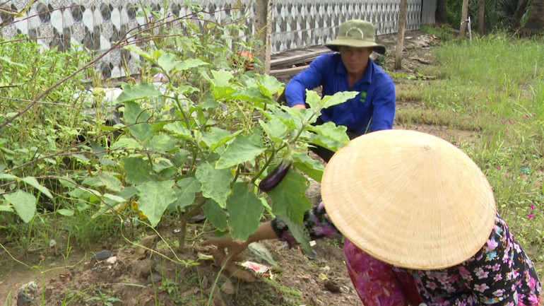 Ông N.T.S. cùng vợ chăm sóc vườn.