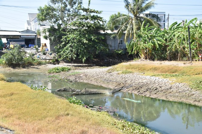 Nguồn nước gần Trạm cấp nước Bình Phan, huyện Chợ Gạo (Tiền Giang) cạn khô.