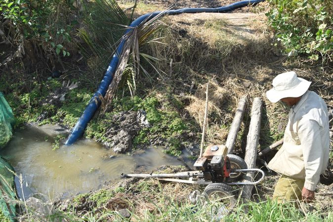 Ông Nguyễn Văn Minh bơm nước cho đàn vịt đẻ xuống nằm