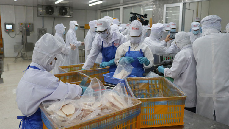 Chế biến, đóng gói thủy sản xuất khẩu tại Công ty cổ phần thủy sản Gò Đàng.