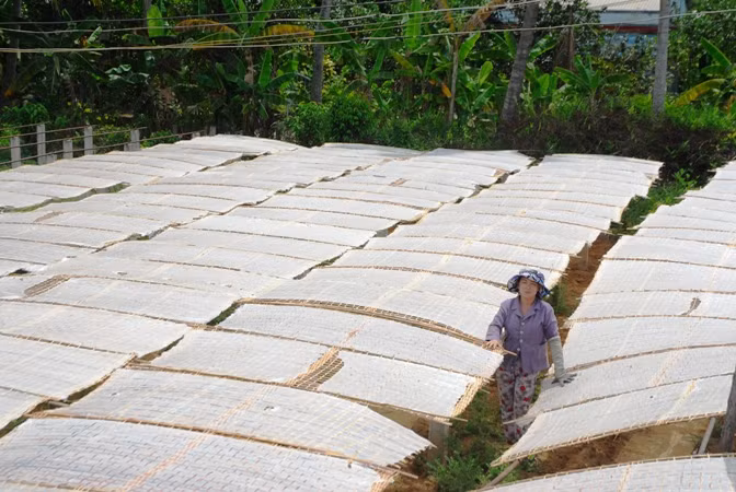 Trải nghiệm tại làng hủ tiếu Mỹ Tho, thành phố Mỹ Tho (Tiền Giang).