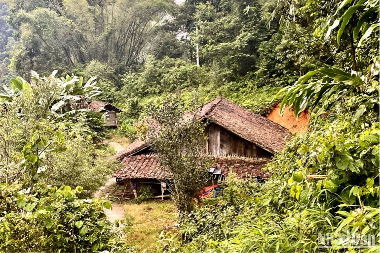 Người Dao tiền sinh sống ở vùng núi cao.