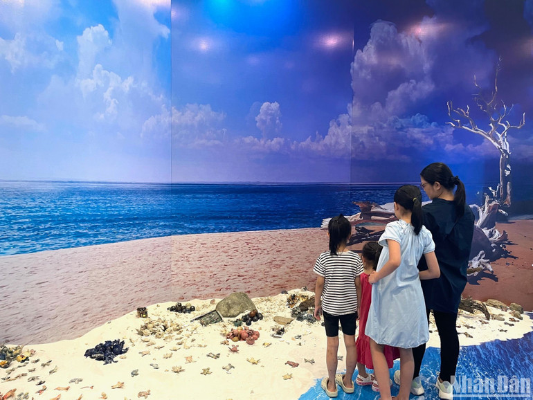 Không gian sắp đặt tại triển lãm