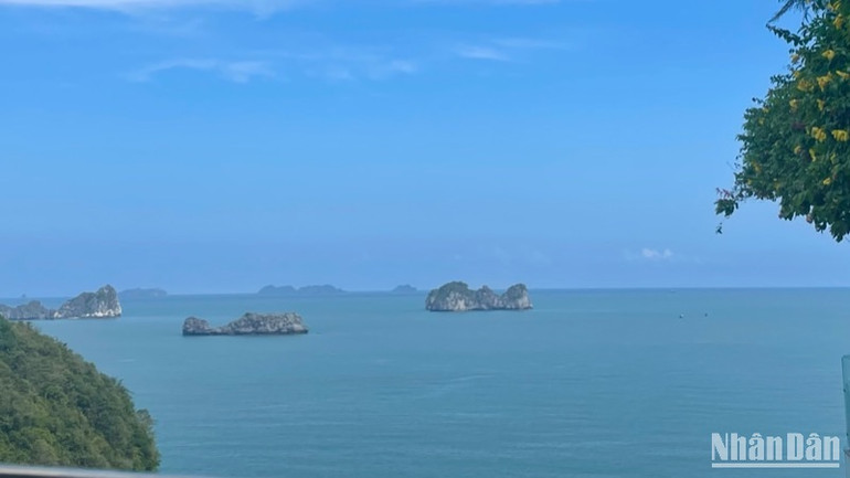 Chung tay bảo vệ hệ sinh thái biển.