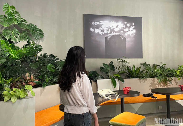 Du khách tham quan triển lãm.