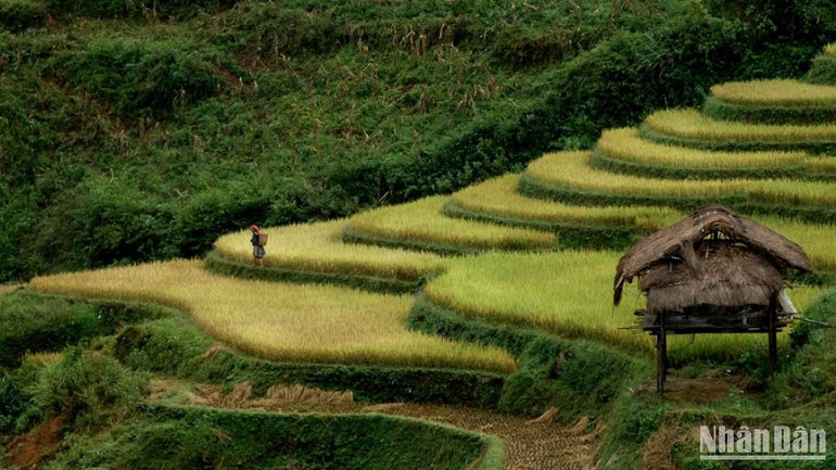 Văn hóa bản địa là điểm nhấn hấp dẫn du khách. (Ảnh: VŨ LINH)