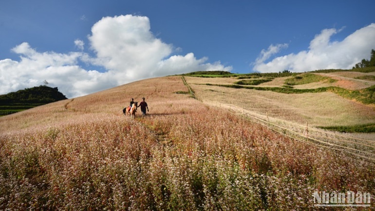 Việt Nam tích cực quảng bá du lịch qua các hoạt động giao lưu quốc tế. (Ảnh: VŨ LINH)