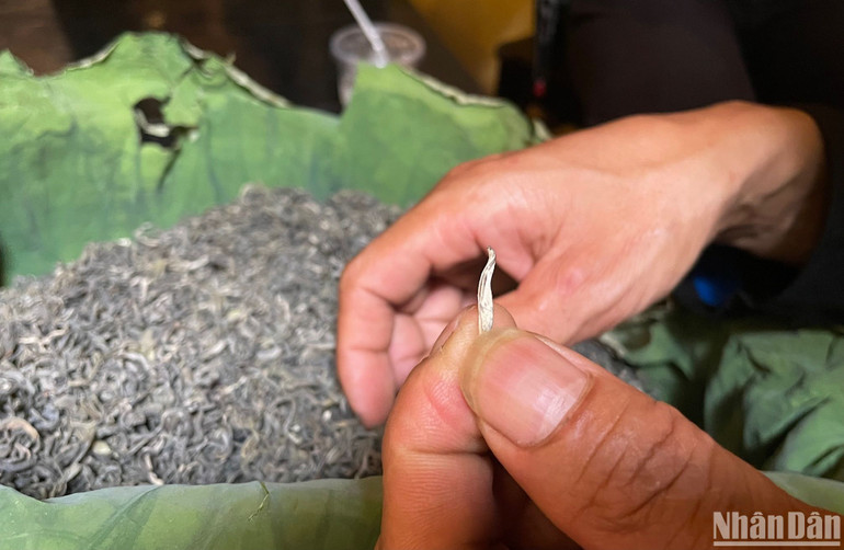 Trà shan tuyết một tôm hai nõn. Trà shan tuyết một tôm hai nõn.