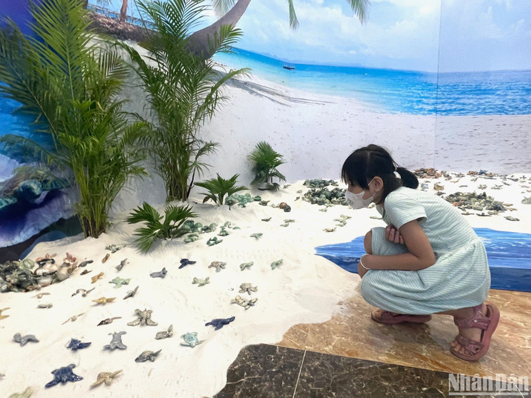 Các em nhỏ hứng thú tìm hiểu về rùa.