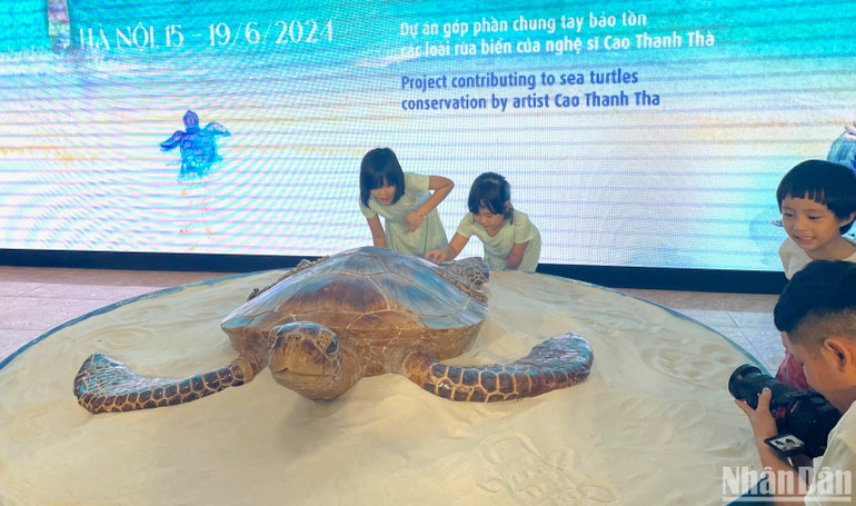 Mô hình mô phỏng rùa trưởng thành.