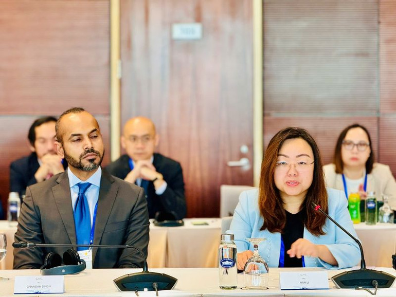 Bà Nan Li, Giám đốc Ban đầu tư và doanh nghiệp, Hội nghị Liên hợp quốc về thương mại và phát triển (UNCTAD) chia sẻ tại phiên thảo luận. (Ảnh: HNV)