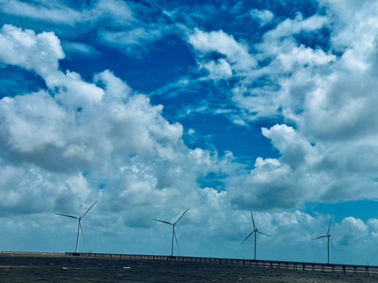 Hệ thống điện gió tại Bạc Liêu. (Ảnh: HNV)