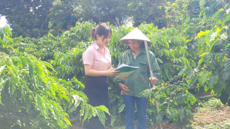 Từ nguồn vốn tín dụng chính sách, nhiều chị em dân tộc thiểu số ở Gia Lai đã mạnh dạn đầu tư mở rộng sản xuất, thoát nghèo và vươn lên làm giàu.