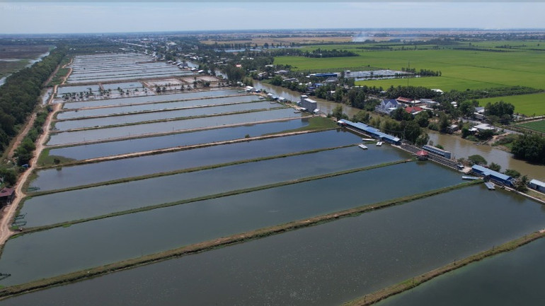 Nông, lâm, thủy sản luôn được Agribank xác định là một trong những lĩnh vực ưu tiên đầu tư.