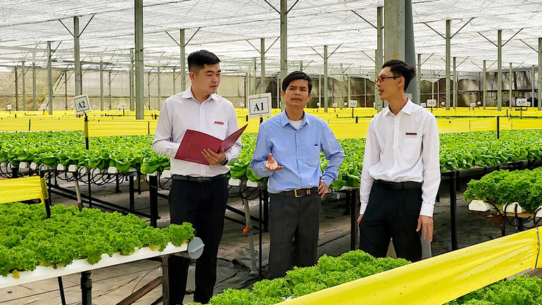 Agribank nhiều lần giảm lãi suất cho vay để hỗ trợ doanh nghiệp