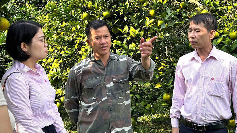 Cán bộ tín dụng Ngân hàng Chính sách xã hội thăm hộ vay vốn phát triển kinh tế gia đình.