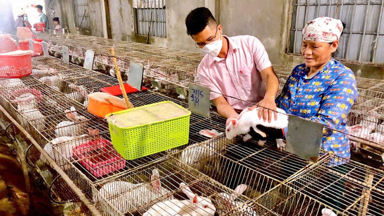 Nhiều hộ gia đình mạnh dạn vay vốn chính sách để phát triển sản xuất, vươn lên thoát nghèo bền vững.