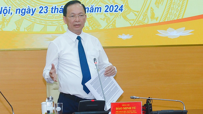 Phó Thống đốc Thường trực Ngân hàng Nhà nước Việt Nam Đào Minh Tú phát biểu tại cuộc họp.