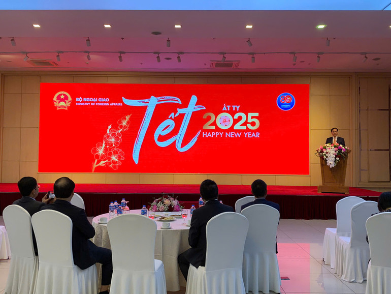 Phó Thủ tướng, Bộ trưởng Ngoại giao Bùi Thanh Sơn phát biểu tại buổi gặp mặt.