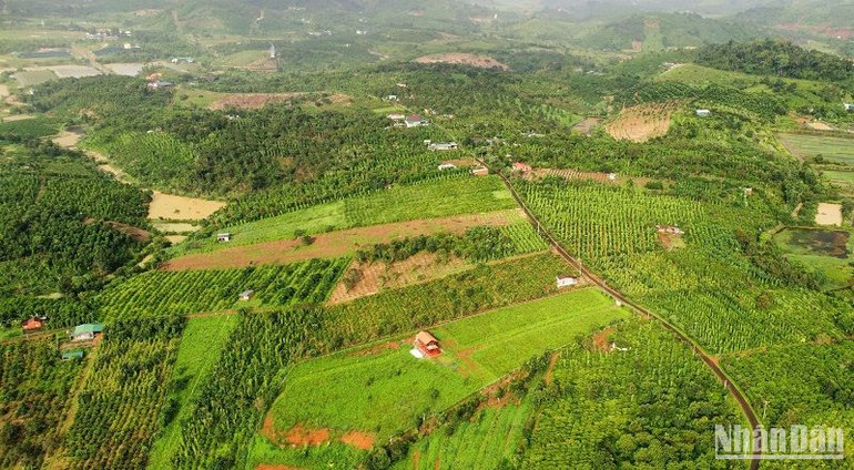 Việc cấp Giấy chứng nhận quyền sử dụng đất, xác nhận thay đổi vào Giấy chứng nhận quyền sử dụng đất được rút ngắn về thủ tục, thời gian, tạo điều kiện cho người dân hơn sau khi được giao thẩm quyền về cho Văn phòng đăng ký đất đai và Chi nhánh Văn phòng đăng ký đất đai các huyện, thành phố.