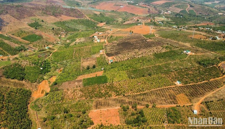 Sở Tài nguyên và Môi trường Đắk Nông đang tập trung triển khai nhiều giải pháp nhằm đẩy nhanh tiến độ hoàn thành dự án xây dựng cơ sở dữ liệu địa chính trên địa bàn toàn tỉnh, nhằm số hóa cơ sở dữ liệu, góp phần cải cách hành chính lĩnh vực đất đai.