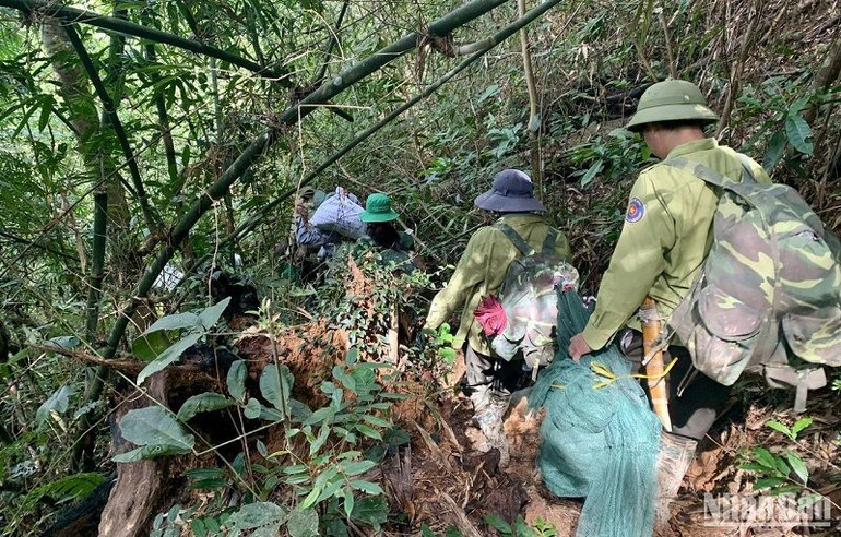 Tổ nhận khoán phối hợp với Kiểm lâm Vườn quốc gia Tà Đùng tổ chức tuần tra rừng khu vực vùng đệm có nguy cơ cao xảy ra cháy rừng trong mùa khô. Tổ nhận khoán phối hợp với Kiểm lâm Vườn quốc gia Tà Đùng tổ chức tuần tra rừng khu vực vùng đệm có nguy cơ cao xảy ra cháy rừng trong mùa khô.