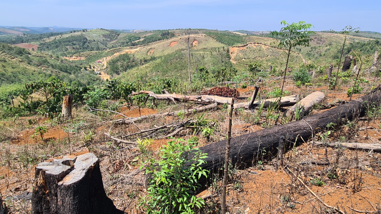 Diện tích đất thu hồi bàn giao về cho địa phương quản lý có số liệu chênh lệch giữa quyết định thu hồi so với thực tế.