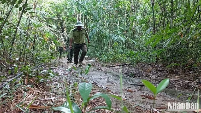 Công chức, viên chức, người lao động của Ban quản lý Vườn quốc gia Tà Đùng cũ được chuyển giao nguyên trạng về Ban Quản lý Vườn quốc gia Tà Đùng tỉnh Đắk Nông.