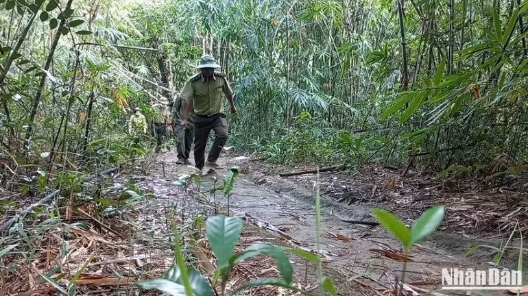 Công chức, viên chức, người lao động của Ban quản lý Vườn quốc gia Tà Đùng cũ được chuyển giao nguyên trạng về Ban Quản lý Vườn quốc gia Tà Đùng tỉnh Đắk Nông. Công chức, viên chức, người lao động của Ban quản lý Vườn quốc gia Tà Đùng cũ được chuyển giao nguyên trạng về Ban Quản lý Vườn quốc gia Tà Đùng tỉnh Đắk Nông.