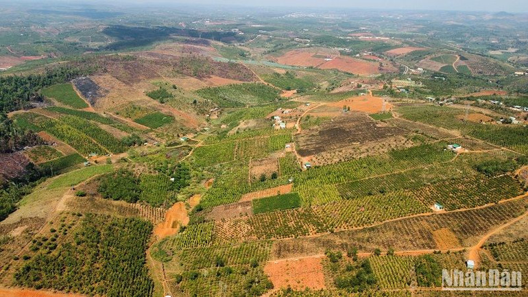 Từ việc kiểm tra, đối chiếu số liệu thống kê, đã phát hiện nhiều sai sót, chồng chéo, chưa thống nhất về số liệu của một số loại đất, nhất là diện tích đất lâm nghiệp, hiện trạng rừng và đất quy hoạch phát triển rừng trên địa bàn.