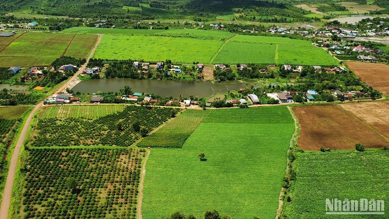 Công tác thực hiện Kế hoạch sử dụng đất hằng năm của các huyện, thành phố tại Đắk Nông vẫn chưa bảo đảm được tính khả thi so với chỉ tiêu đã được phê duyệt; nhiều chỉ tiêu kế hoạch còn có tỷ lệ thực hiện thấp. Công tác thực hiện Kế hoạch sử dụng đất hằng năm của các huyện, thành phố tại Đắk Nông vẫn chưa bảo đảm được tính khả thi so với chỉ tiêu đã được phê duyệt; nhiều chỉ tiêu kế hoạch còn có tỷ lệ thực hiện thấp.