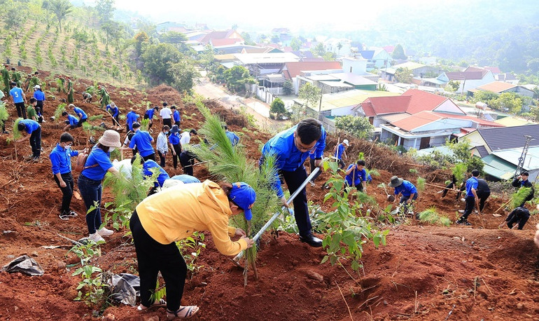 Cùng thời điểm, các cơ quan, đơn vị, địa phương trong tỉnh đã đồng loạt tổ chức lễ phát động, dự kiến sẽ có hơn 163.000 cây được trồng trong dịp này.