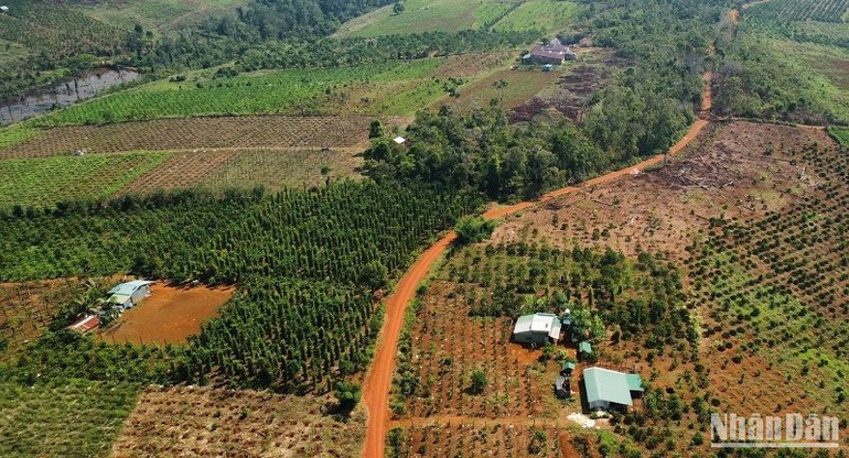 Kết quả thống kê phát hiện nhiều diện tích đất lâm nghiệp tại thời điểm thống kê không thống nhất với Quyết định của Ủy ban nhân dân huyện về việc phê duyệt, công bố hiện trạng rừng và đất quy hoạch phát triển rừng trên địa.