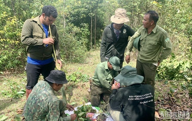 Các tổ nhận khoán chủ động lập kế hoạch, thường xuyên tuần tra rừng nhằm ngăn chặn các đối tượng xâm hại đa dạng sinh học vườn quốc gia và săn bắn các động vật quý hiếm cần bảo tồn. Các tổ nhận khoán chủ động lập kế hoạch, thường xuyên tuần tra rừng nhằm ngăn chặn các đối tượng xâm hại đa dạng sinh học vườn quốc gia và săn bắn các động vật quý hiếm cần bảo tồn.
