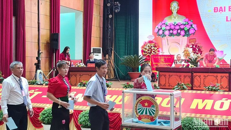 Đại hội tiến hành bỏ phiếu bầu Ban chấp hành và Ủy viên Ban thường vụ Hội nông dân tỉnh Đắk Nông khóa V, nhiệm kỳ 2023-2028. Đại hội tiến hành bỏ phiếu bầu Ban chấp hành và Ủy viên Ban thường vụ Hội nông dân tỉnh Đắk Nông khóa V, nhiệm kỳ 2023-2028.