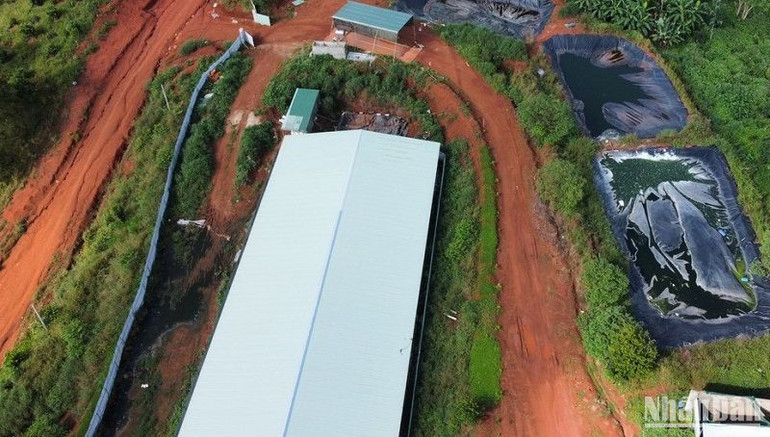 Sở Tài nguyên và Môi trường xác định, hầu hết các trang trại trên địa bàn tỉnh được xây dựng và vận hành khi chưa hoàn thiện thủ tục môi trường theo quy định, hệ thống xử lý chất thải chưa bảo đảm quy định, xả nước thải vượt quy chuẩn ra môi trường...