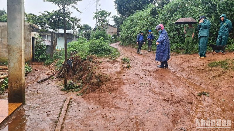 Trong những ngày qua, việc sạt trượt tiếp tục diễn biến phức tạp tại hai bon Bu Krắk và Bu Prăng 1A, xã Quảng Trực, huyện Tuy Đức.