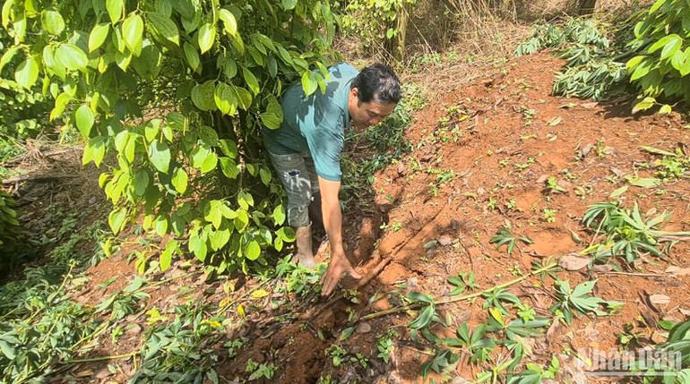 Mái đồi bên trái hồ chứa xuất hiện nhiều vết nứt gãy mặt đất với phạm vi lớn, có tổng chiều dài khoảng 500-700m, khe nứt rộng khoảng 5cm-20cm, độ sâu từ 1-2m và đang có dấu hiệu lan rộng thêm. Mái đồi bên trái hồ chứa xuất hiện nhiều vết nứt gãy mặt đất với phạm vi lớn, có tổng chiều dài khoảng 500-700m, khe nứt rộng khoảng 5cm-20cm, độ sâu từ 1-2m và đang có dấu hiệu lan rộng thêm.