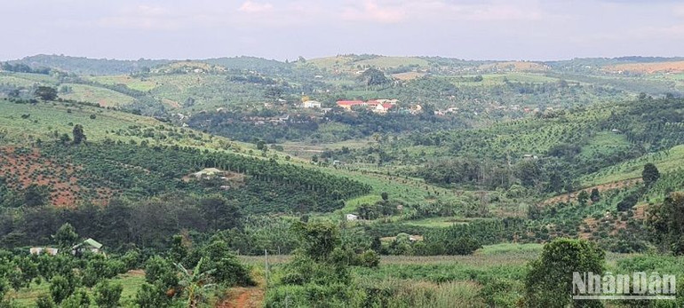 Sở Tài nguyên và Môi trường Đắk Nông đang tập trung hoàn thiện quy chế tiếp nhận và giải quyết thủ tục hành chính về đất đai, xây dựng giá dịch vụ công lĩnh vực đất đai, thí điểm mô hình cung cấp dịch vụ công về lĩnh vực đất đai để tạo điều kiện thuận lợi nhất cho người dân, doanh nghiệp.