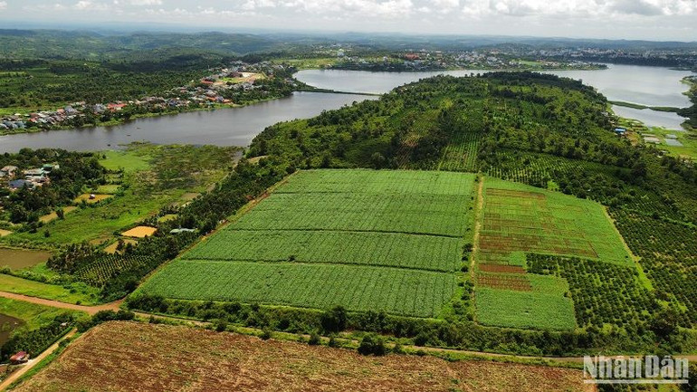 Việc lấy ý kiến góp ý của nhân dân đối với công tác lập, điều chỉnh và tổ chức thẩm định quy hoạch, kế hoạch sử dụng đất được bảo đảm tính công khai, minh bạch. Việc lấy ý kiến góp ý của nhân dân đối với công tác lập, điều chỉnh và tổ chức thẩm định quy hoạch, kế hoạch sử dụng đất được bảo đảm tính công khai, minh bạch.