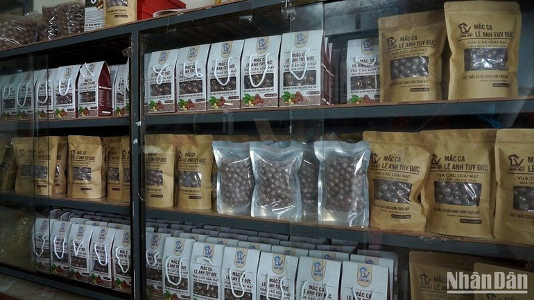 Nhiều sản phẩm mắc ca đã đạt chứng nhận OCOP, sản phẩm công nghiệp nông thôn tiêu biểu.