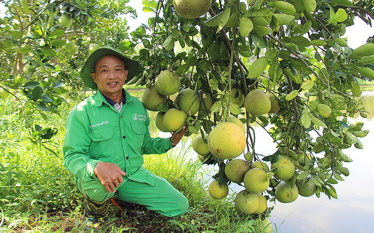 Ông Lê Văn Cần bên thành quả lao động tại trang trại ở huyện Ý Yên, tỉnh Nam Định. (Ảnh nhân vật cung cấp)