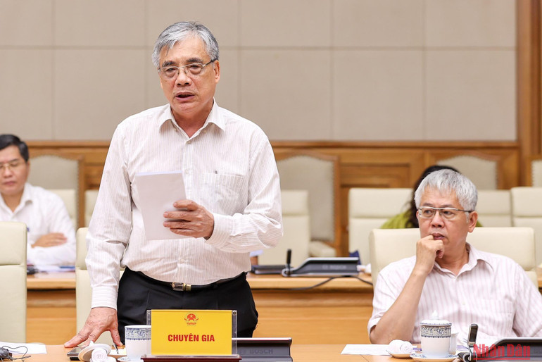 PGS, TS Kinh tế học Trần Đình Thiên, nguyên Viện trưởng Viện Kinh tế Việt Nam phát biểu.